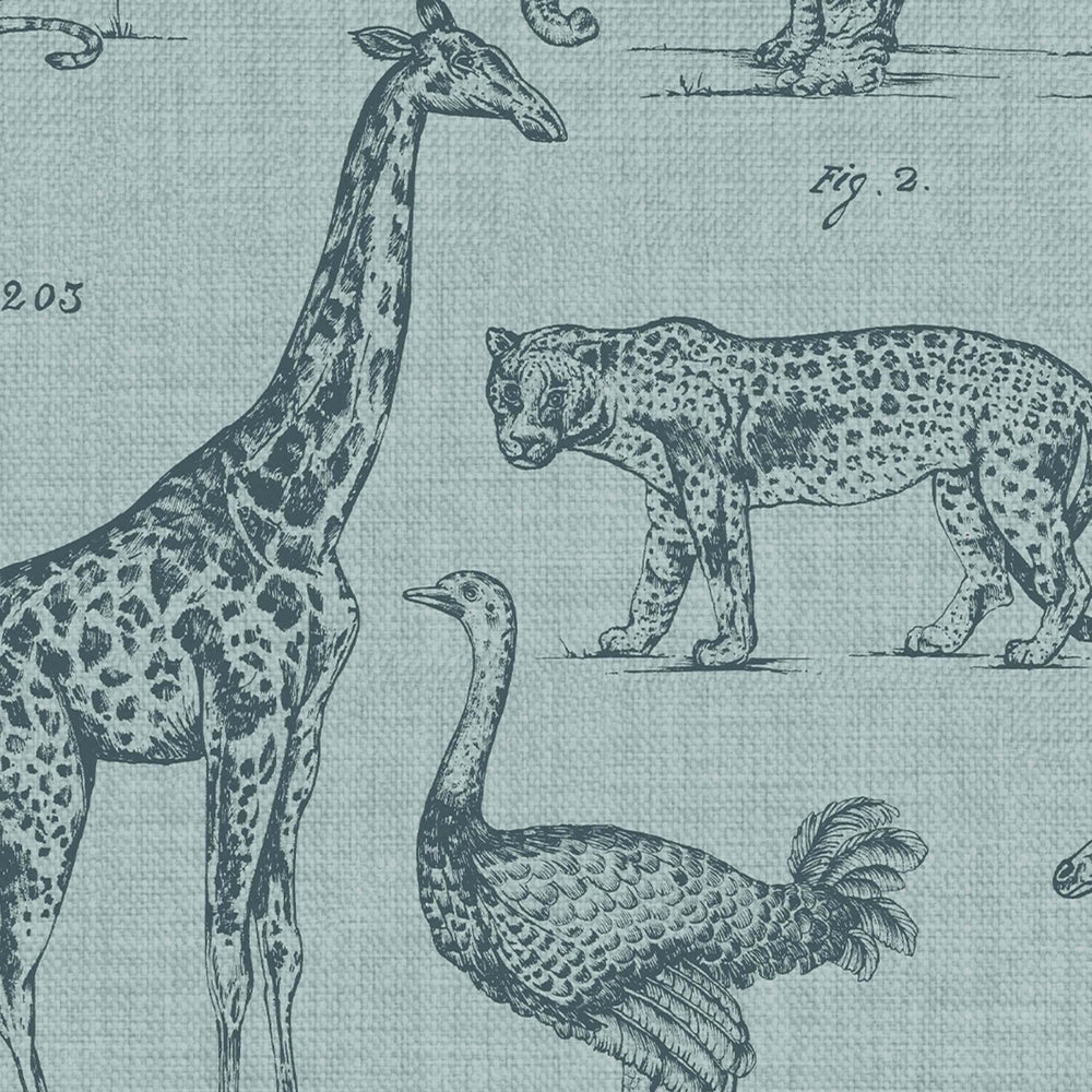 117806-Graham & Brown-Superfresco - Zoology Wallpaper-Decor Warehouse