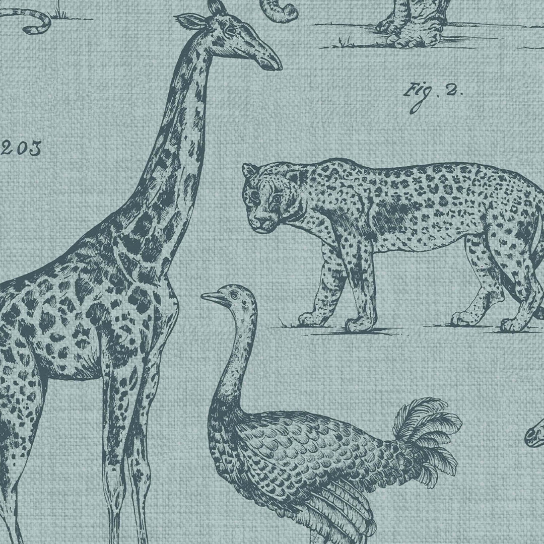 117806-Graham & Brown-Superfresco - Zoology Wallpaper-Decor Warehouse