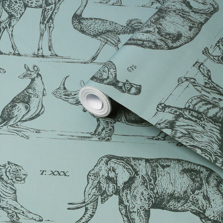117806-Graham & Brown-Superfresco - Zoology Wallpaper-Decor Warehouse
