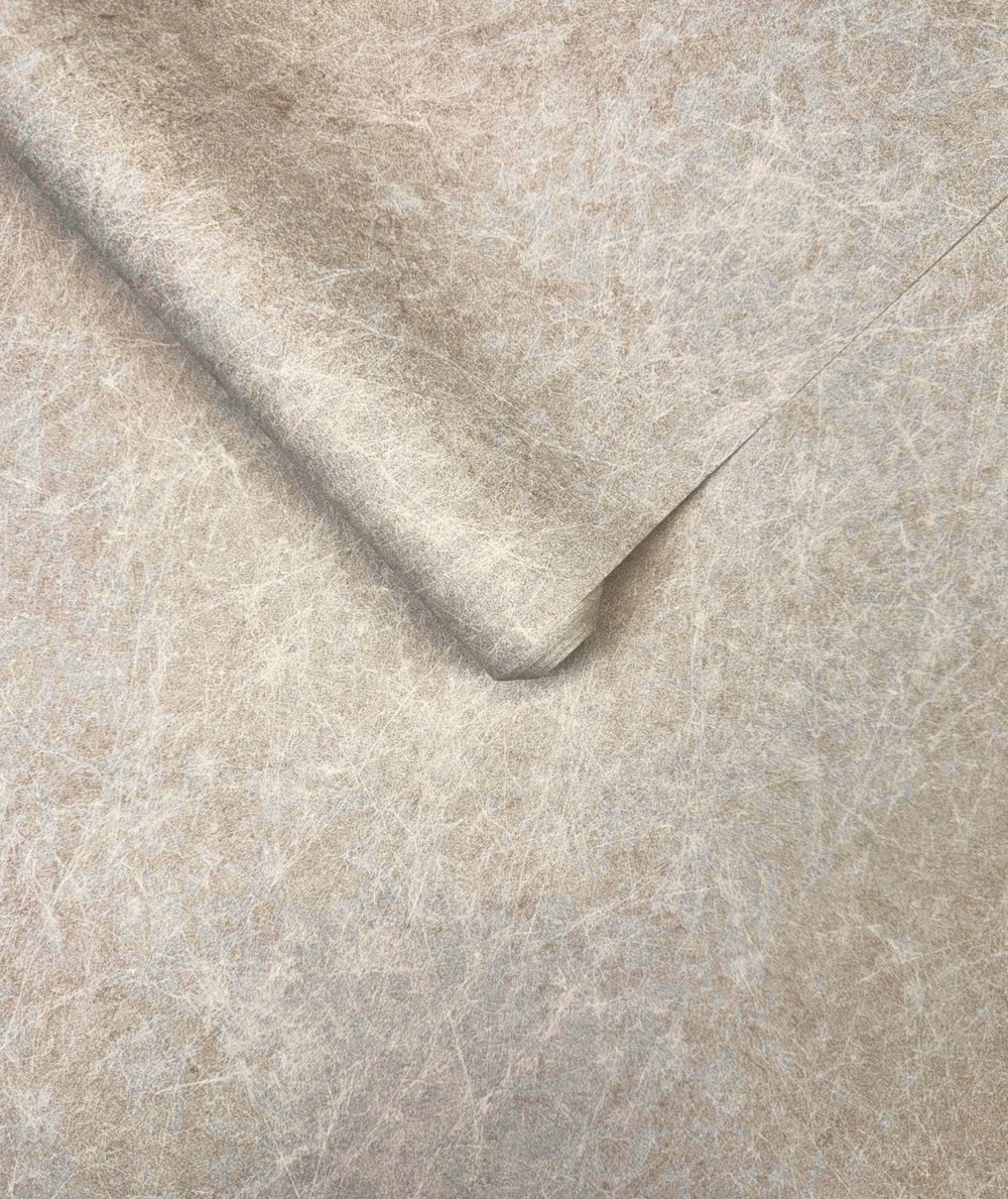 TP422903-Decor Warehouse-Textured Plaster Beige Wallpaper-Decor Warehouse