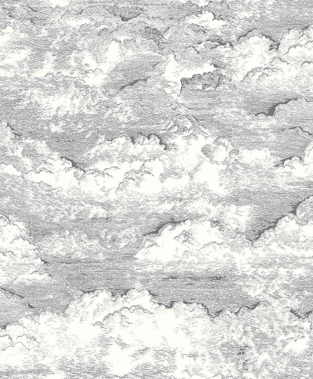  - Voyage Onirique - Songe Noir Gravure Cloud Wallpaper - ONIR87279907 - Decor Warehouse