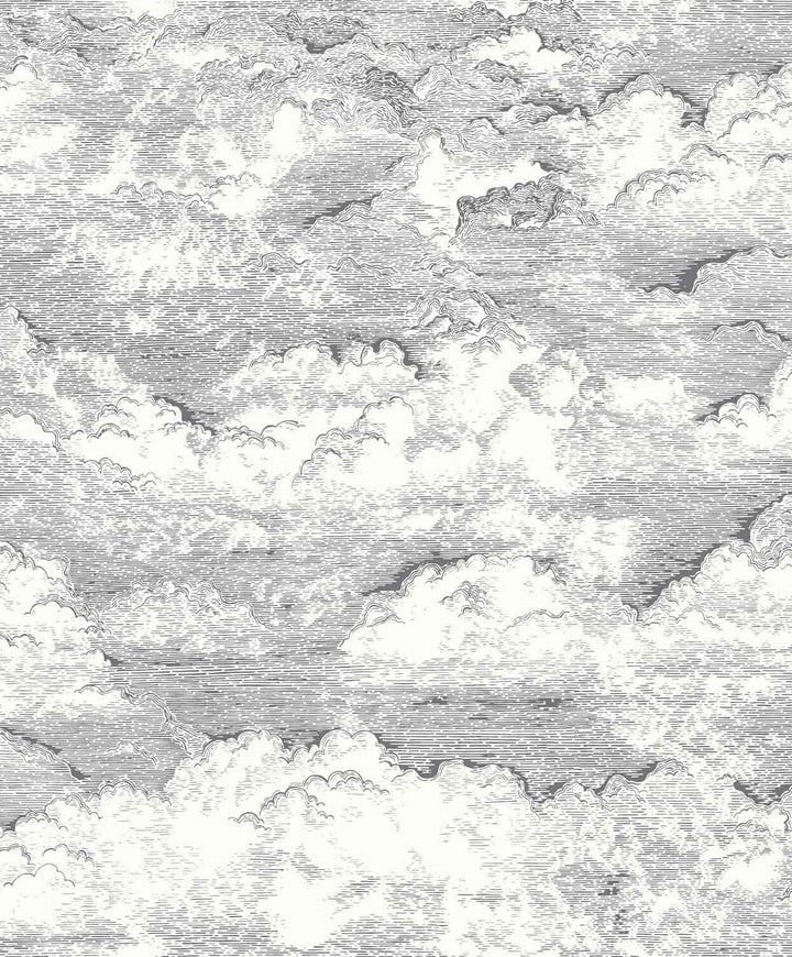 - Voyage Onirique - Songe Noir Gravure Cloud Wallpaper - ONIR87279907 - Decor Warehouse