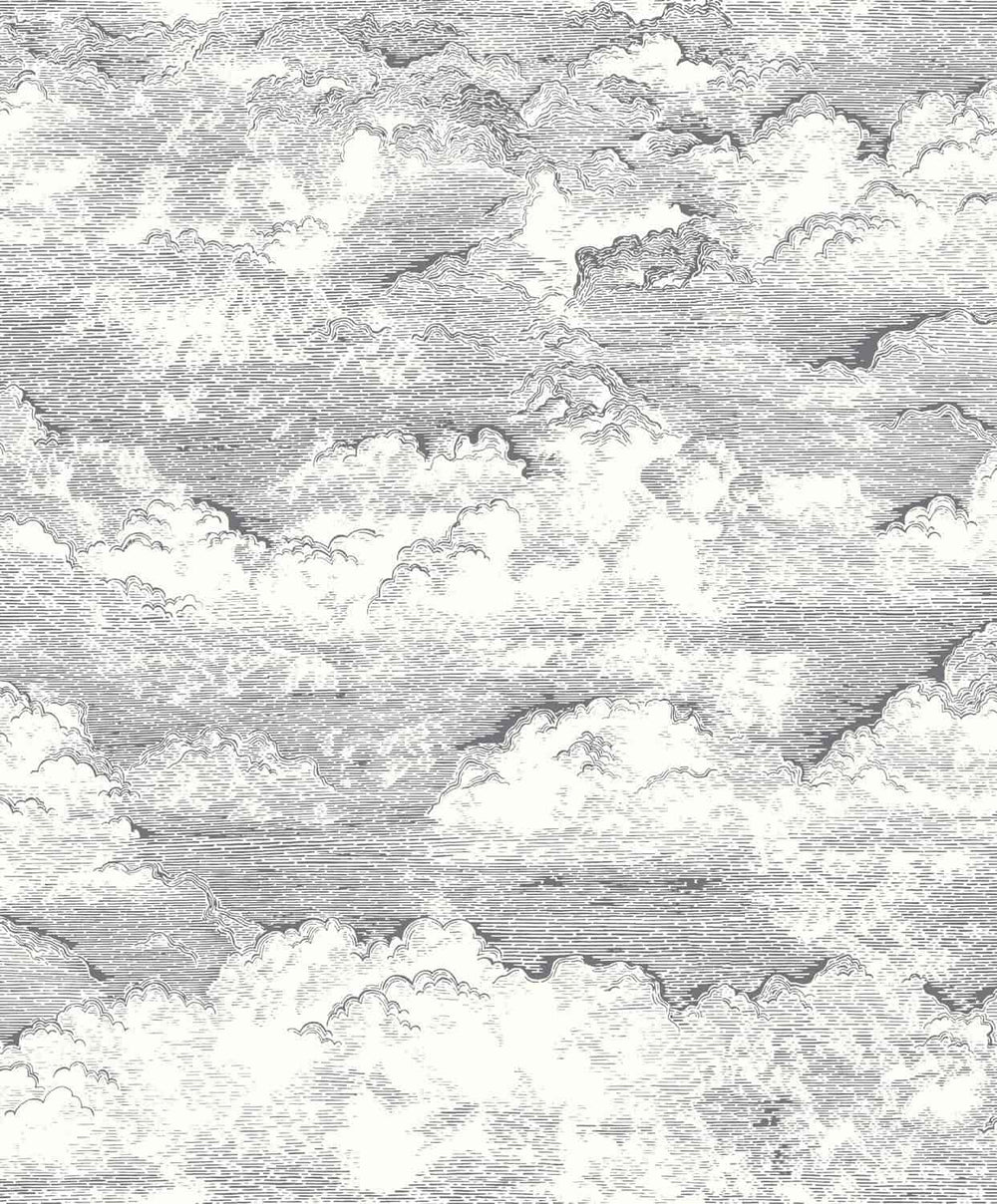 ONIR87279907-Casadeco-Voyage Onirique - Songe Noir Gravure Cloud Wallpaper-Decor Warehouse